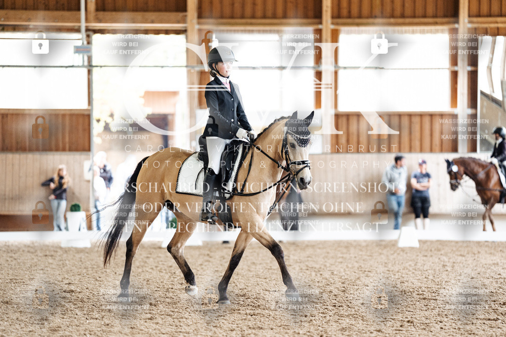 CK901490 | Turnierfotografie Pferdefotografie Trier Rheinland-Pfalz Pferdesport Reitsport Tierfotografie Sportfotografie Pferdevideo Pferdevideografie Equestrianvideography equestrianphotography  - Realisiert mit Pictrs.com