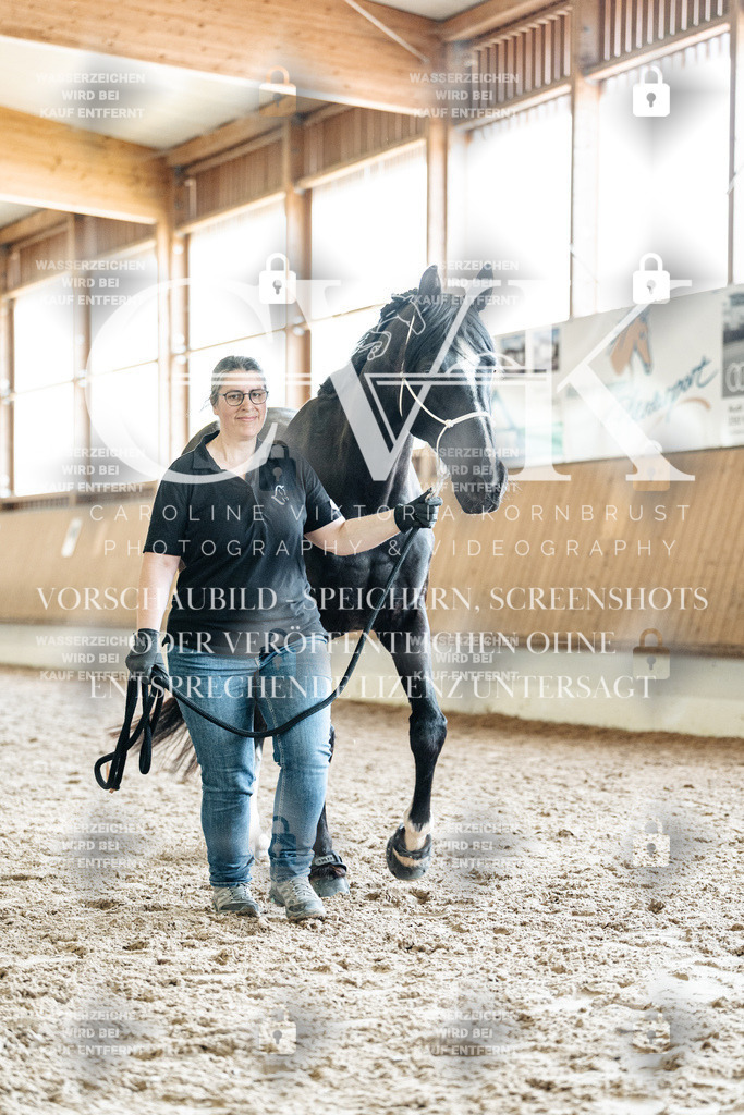 CK908005 | Turnierfotografie Pferdefotografie Trier Rheinland-Pfalz Pferdesport Reitsport Tierfotografie Sportfotografie Pferdevideo Pferdevideografie Equestrianvideography equestrianphotography  - Realisiert mit Pictrs.com