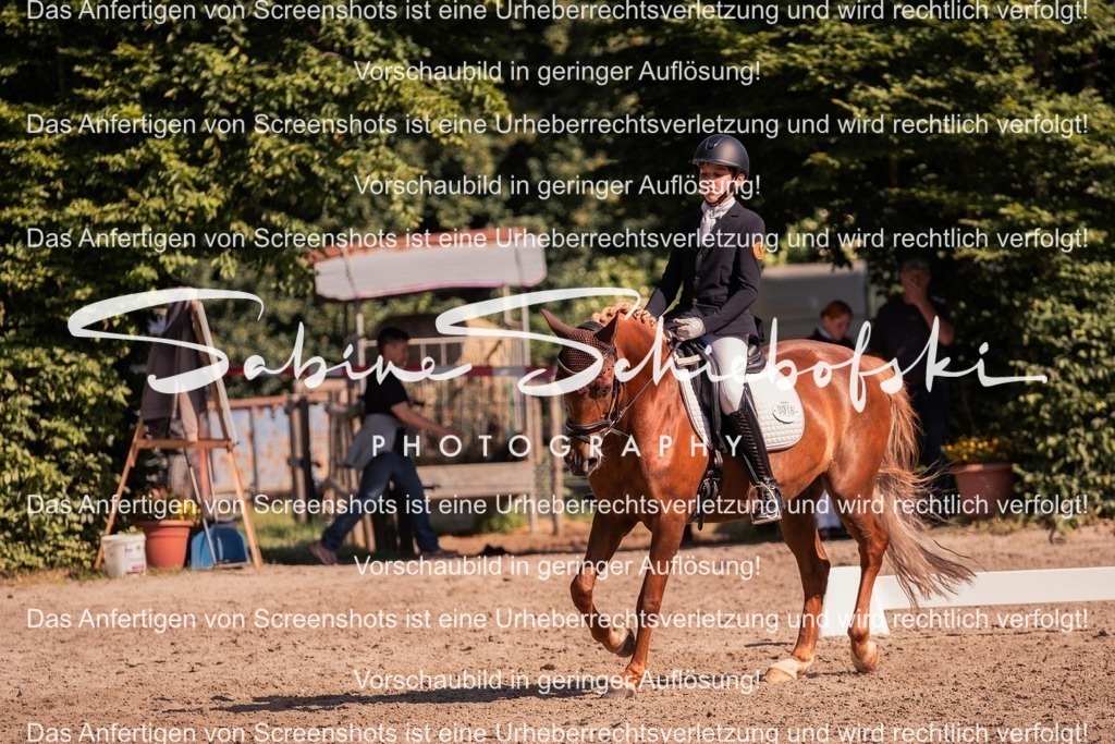 2025_05_31_DSCF2962 | People- und Tierfotografie, Imageaufnahmen, Veranstaltungsfotografie und Wandbilder aus der Natur ★ Made in Germany ✔️ Druck + Downloads ✔️ Naturfotografie in Top Qualität ★ schneller Versand, weltweite Lieferung! - Realisiert mit Pictrs.com