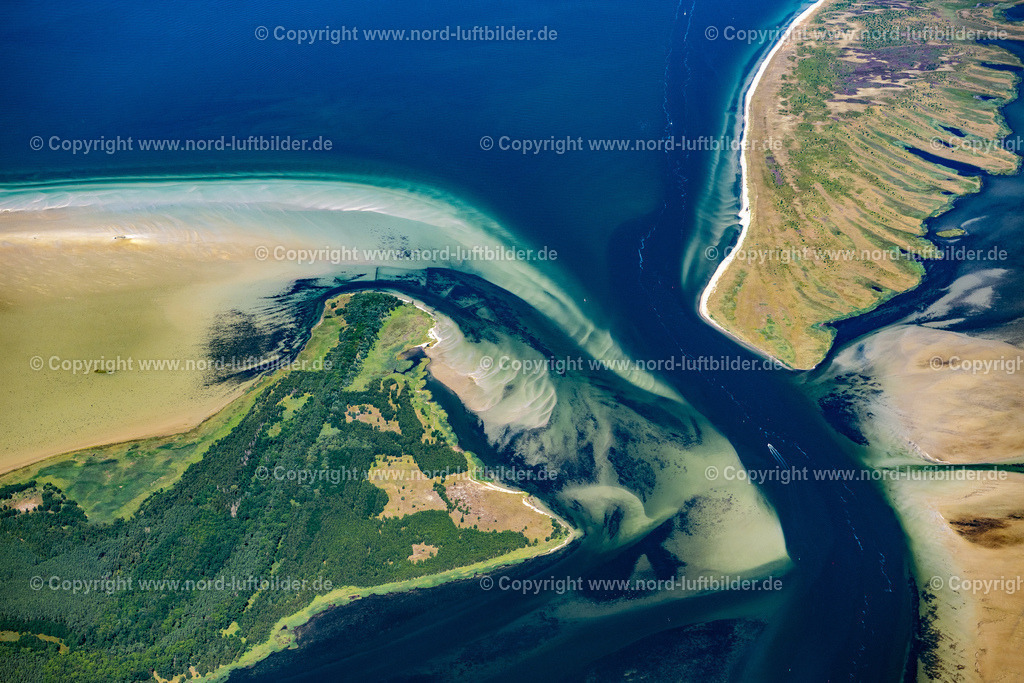 Hiddensee_Insel_Bock_ELS_8371100822 | GROß MOHRDORF 10.08.2022 Blick auf das Naturschutzgebiet Strandlandschaft und Sanddünen entlang der Ostsee- Küste Großer Werder - Bock im Bundesland Mecklenburg-Vorpommern. // Nature reserve and beach landscape sand dunes along the Baltic Coast Bock in Mecklenburg - Western Pomerania. Foto: Martin Elsen
