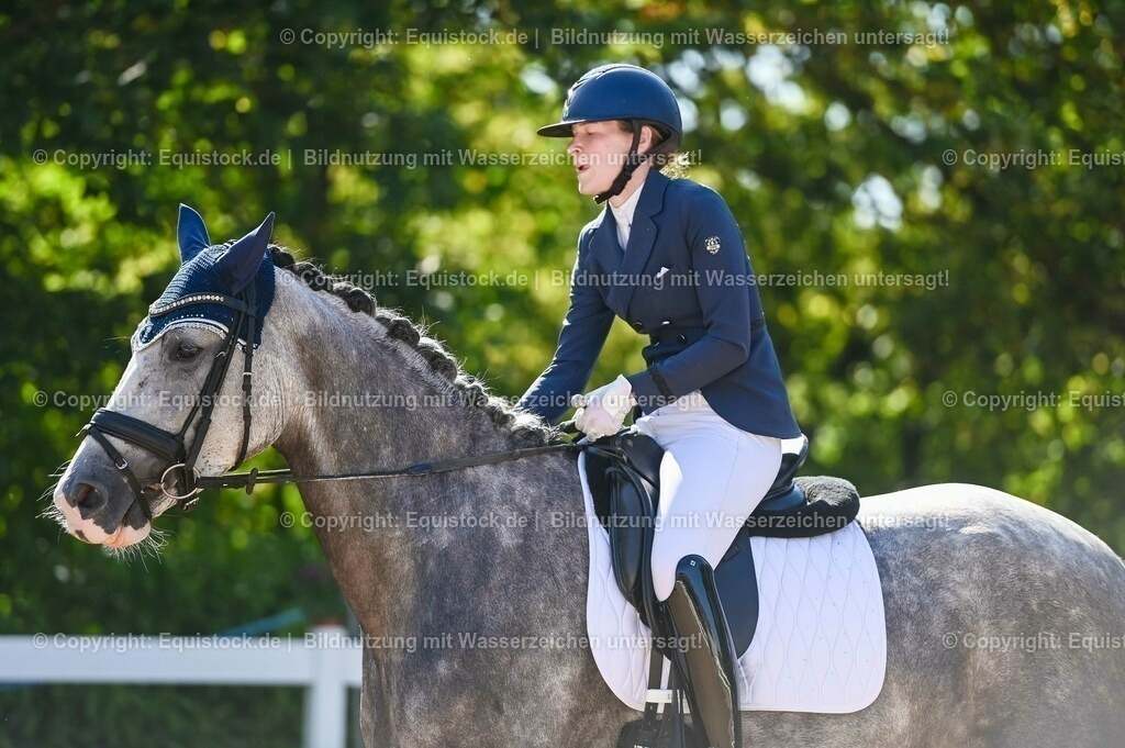 20230715_06_Dressurpferdeprfg. Kl.A_0319 | equistock