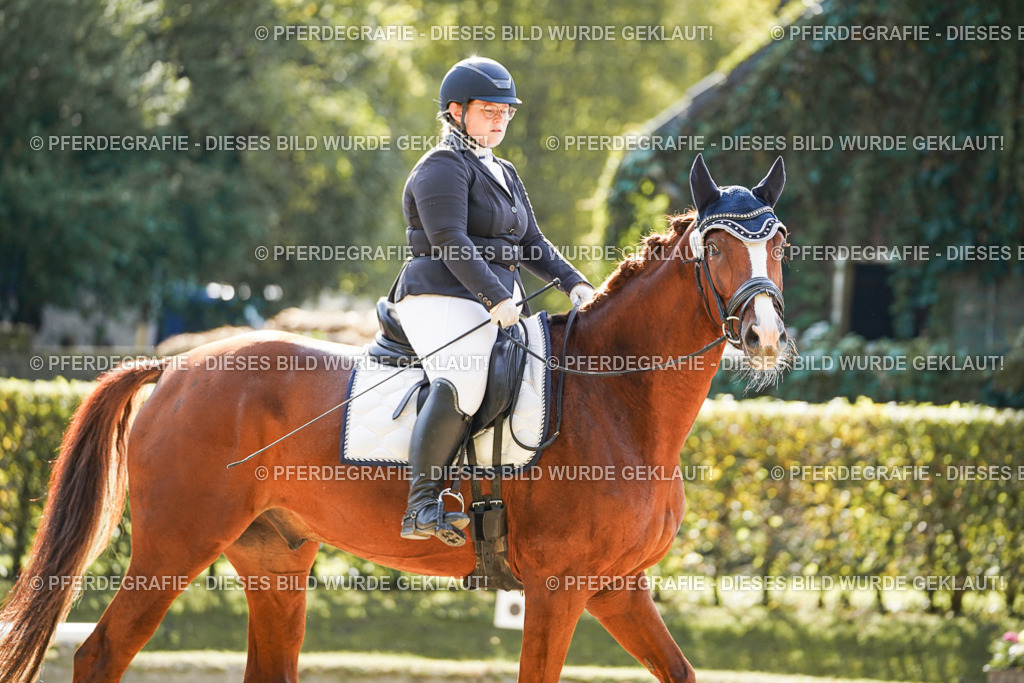 DSC06942 | Pferdegrafie