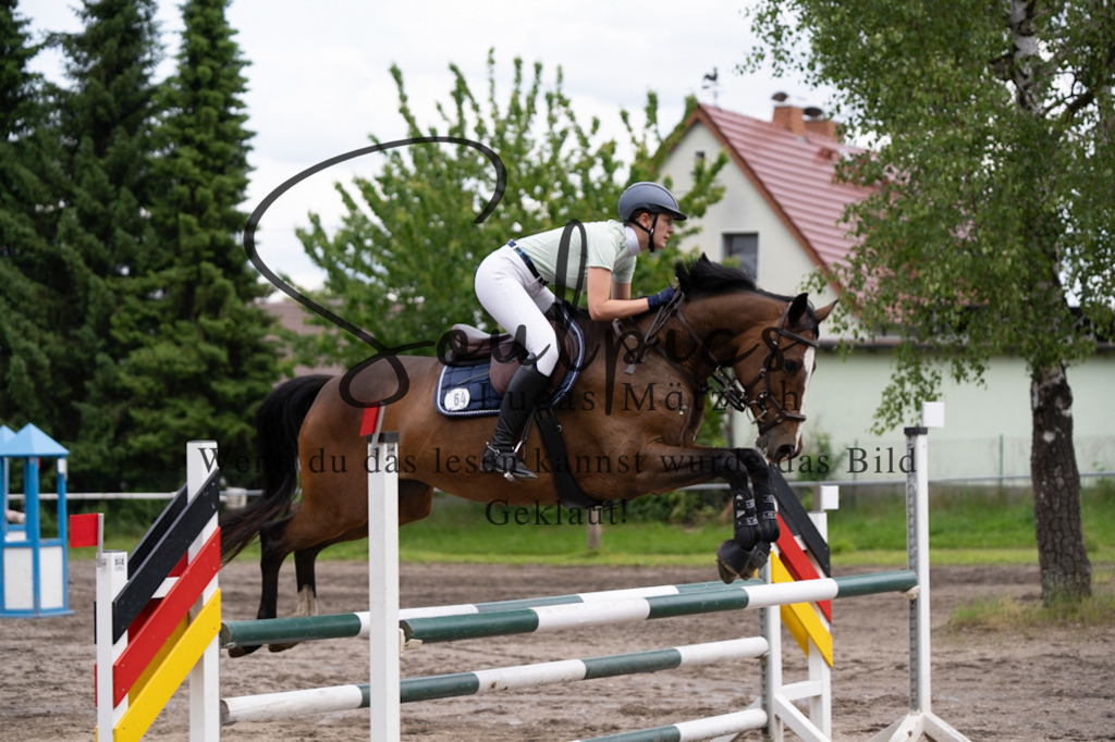 A7V04887 | Pferdefotograf