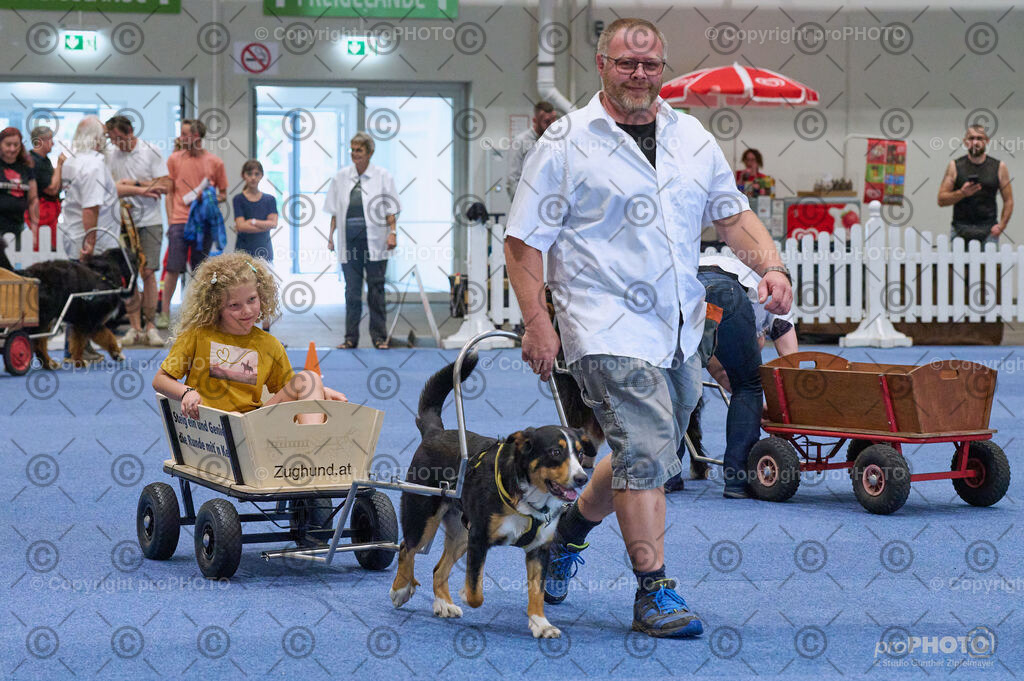 202406_ÖKV-IHA-Tulln24_DSC_4678 | proPHOTO - Realisiert mit Pictrs.com