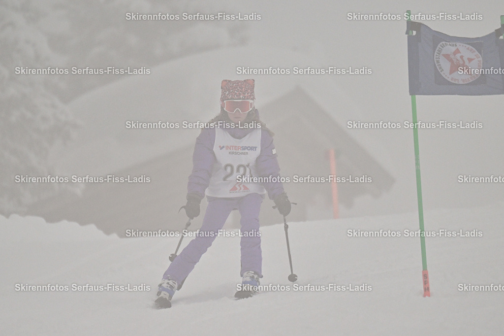 SRS_20.02.2026_0201 | SRS_20.02.2026_0201 - Realisiert mit Pictrs.com