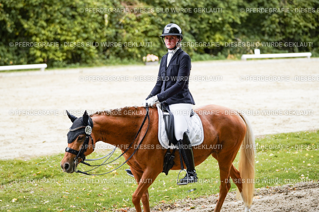 DSC04309 | Pferdegrafie