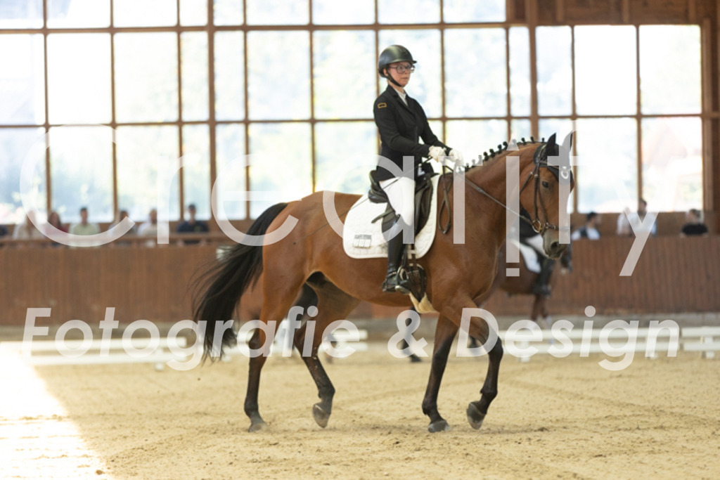 IMG_9529 | Creatify Fotografie