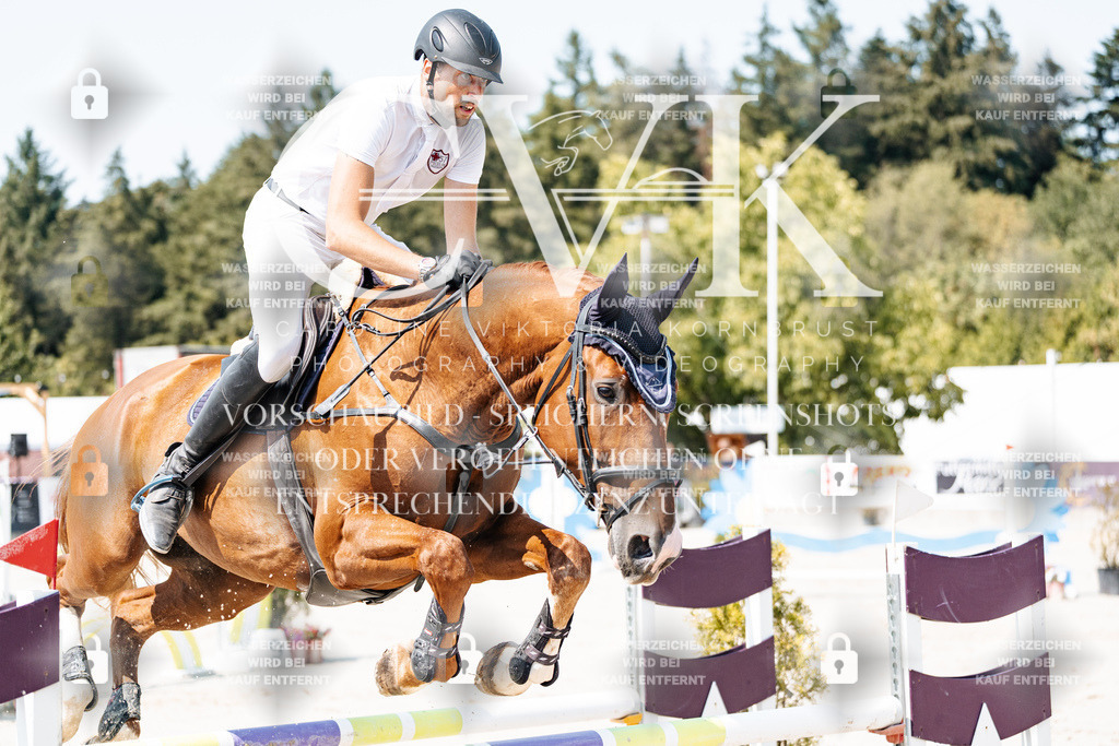 CK901294 | Turnierfotografie Pferdefotografie Trier Rheinland-Pfalz Pferdesport Reitsport Tierfotografie Sportfotografie Pferdevideo Pferdevideografie Equestrianvideography equestrianphotography  - Realisiert mit Pictrs.com