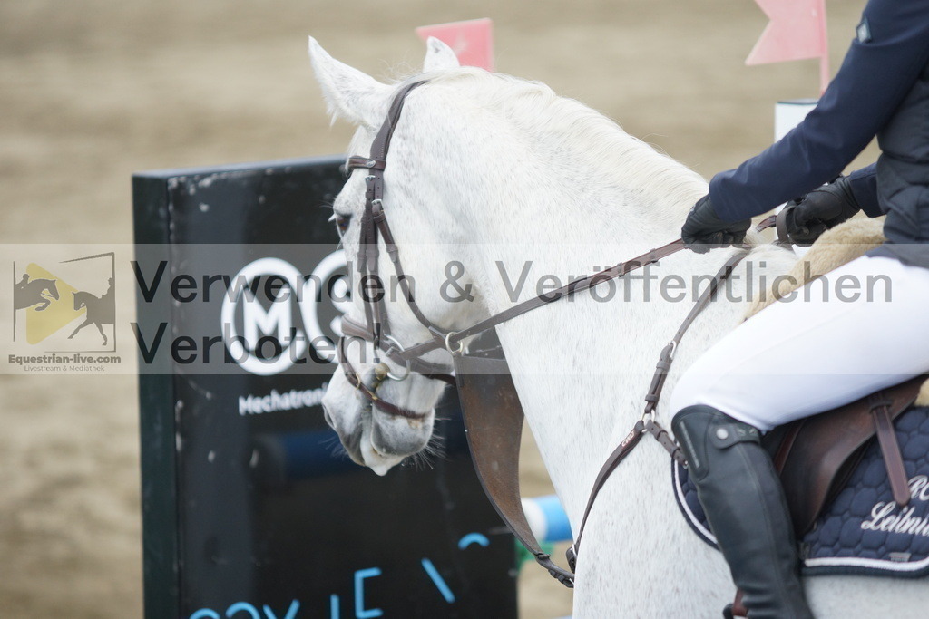 DSC01331 | equestrian-live-com
