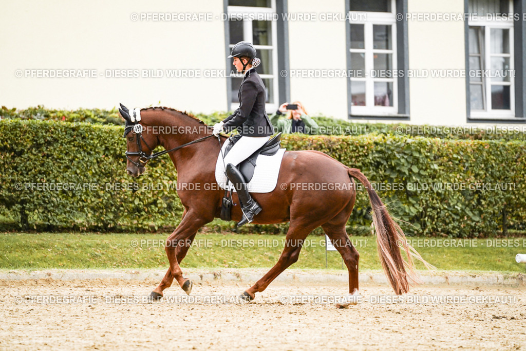 DSC08688 | Pferdegrafie