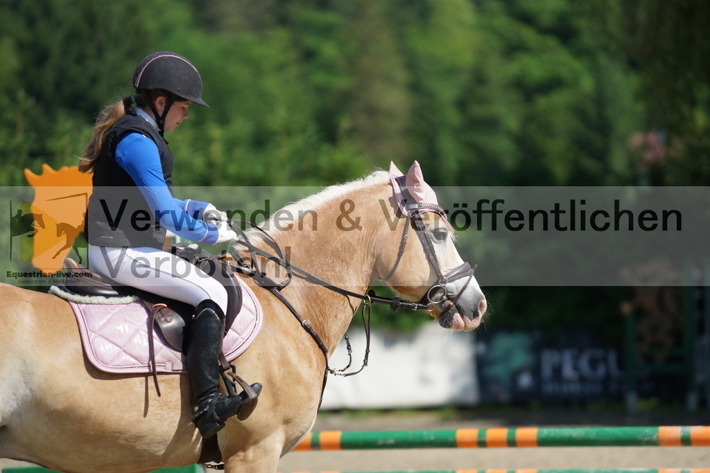 DSC06166 | equestrian-live-com