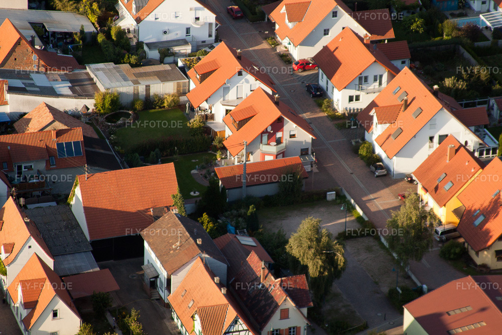 Luftbild: Im Storchennest in Erlenbach bei Kandel im Bundesland Rheinland-Pfalz in Deutschland. Foto: IMG_32696.jpg vom 01.09.2010 durch Werner Riehm/FLY-FOTO.de