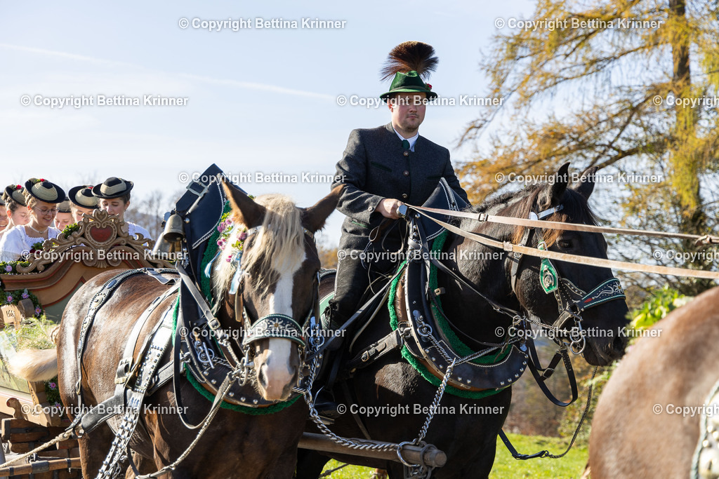 LBT24-1329 | foto-bettina-krinner - Realisiert mit Pictrs.com