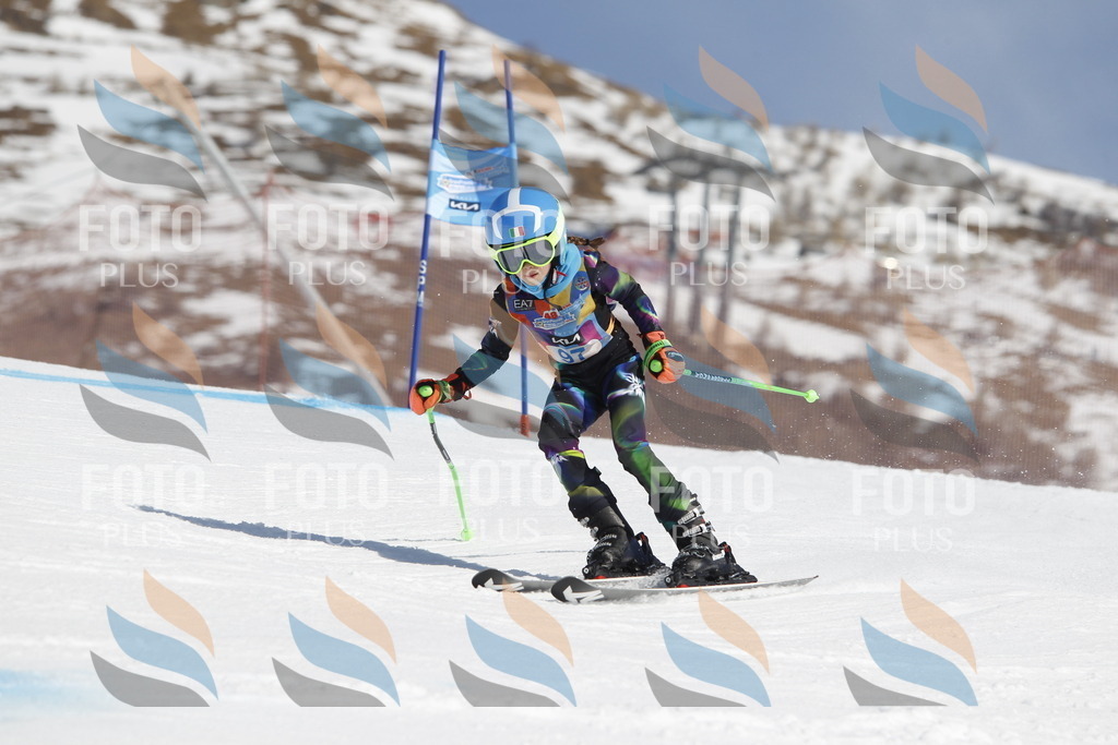 _U3G0270 | holidayphoto