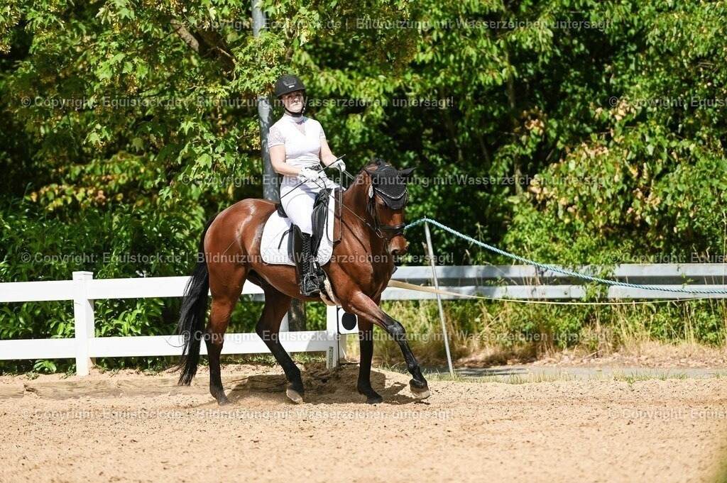 20230715_02_Dressurreiterprüfung Kl.L_0209 | equistock