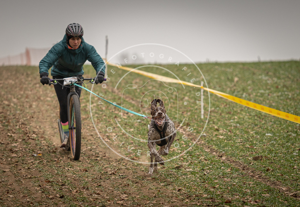 Pfotenfotografie_DV3A3562 | Hundefotografie, Tierfotograf, Pfotenfotografie, Fotoshooting Hund, Hunde Portrait, Hundesport, Hundeportraits, Heideshooting, Hunde, Sportfotograf, Hundefotograf, Turnierhundsport, THS,  - Realisiert mit Pictrs.com