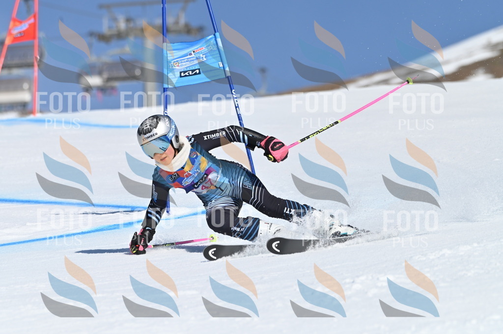 BGV_8485 | holidayphoto