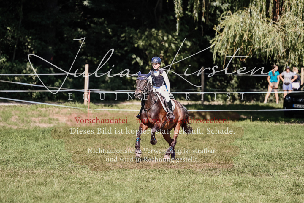 DSC_2797 | Pferde- und Turnierfotografie in Westsachsen. Pferdeportraits, Auftragszeichnungen und intuitive Kunst.