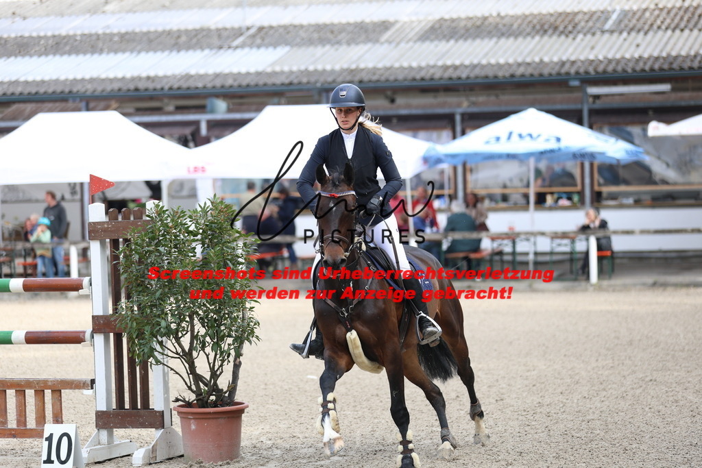 A40A2947 | lmwpictures - Realisiert mit Pictrs.com