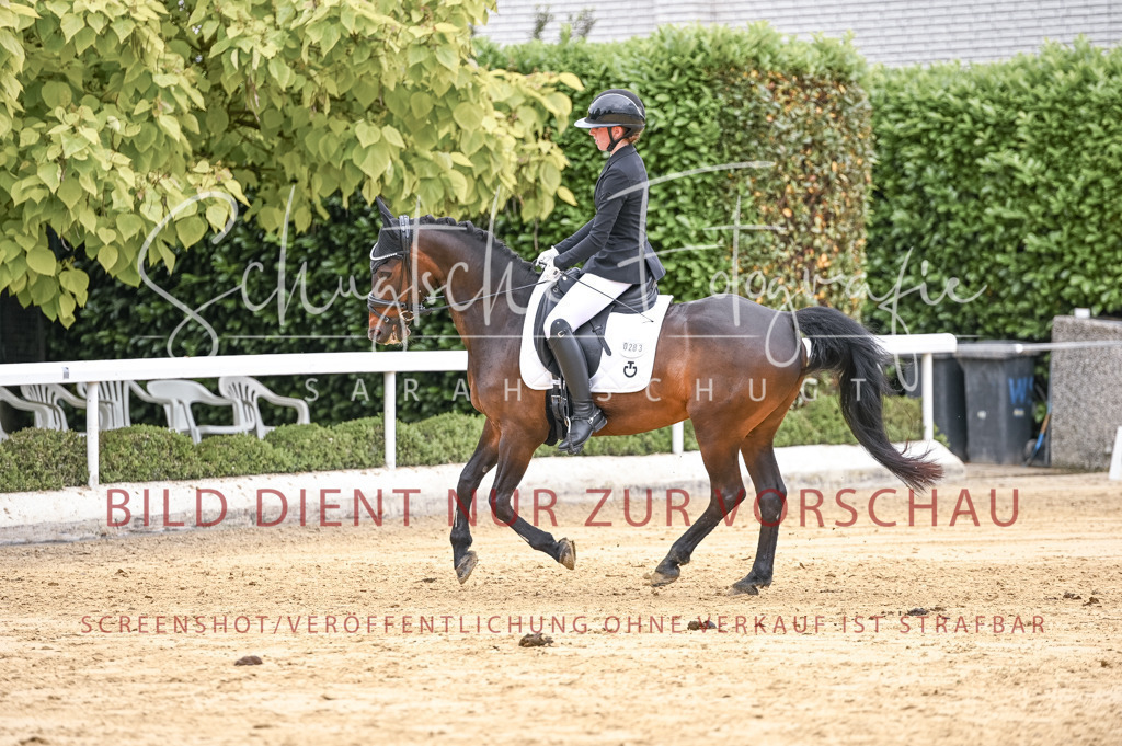 Schugtsche-Aluta25-42.EDressur -303 | Schugtsche Fotografie - Realisiert mit Pictrs.com