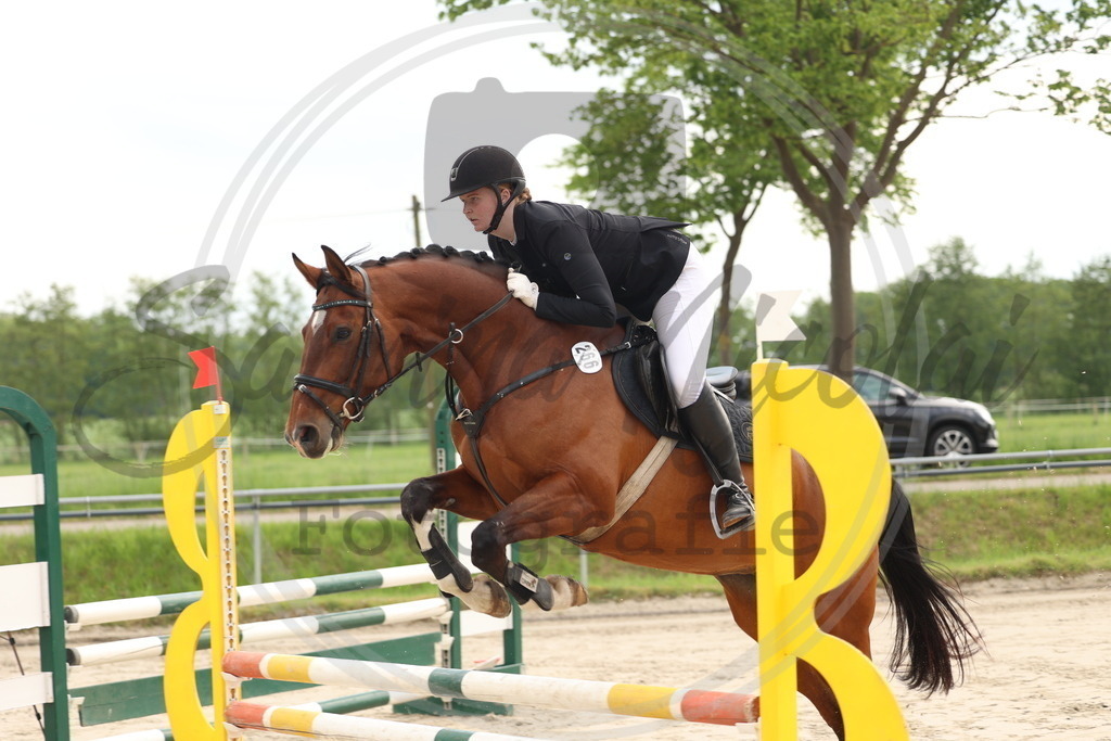 994A8144 | sabrinanicolaifotografie - Realisiert mit Pictrs.com