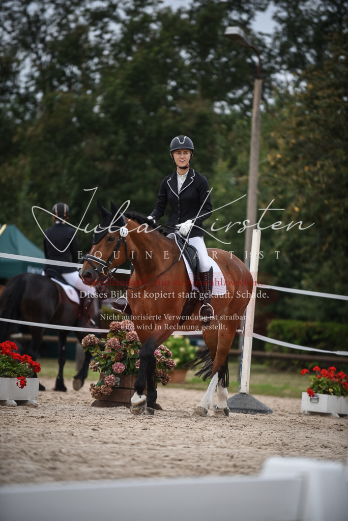 DSC_8294 | Pferde- und Turnierfotografie in Westsachsen. Pferdeportraits, Auftragszeichnungen und intuitive Kunst.