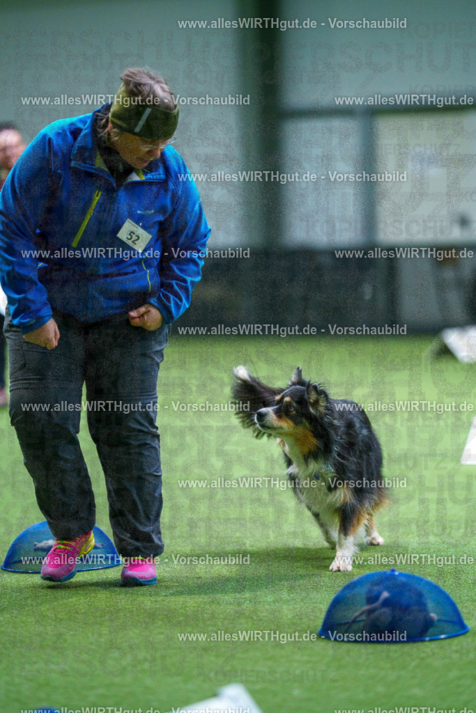 7R506445 | Professionelle Tierfotografie in Mönchengladbach von Daniel Wirth (allesWIRTHgut). Liebevolle & natürliche Bilder von Hunden & Katzen für unvergessliche Erinnerungen.