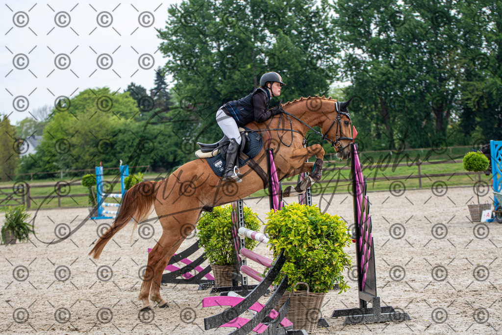 KPT_2050 | andre_photographic