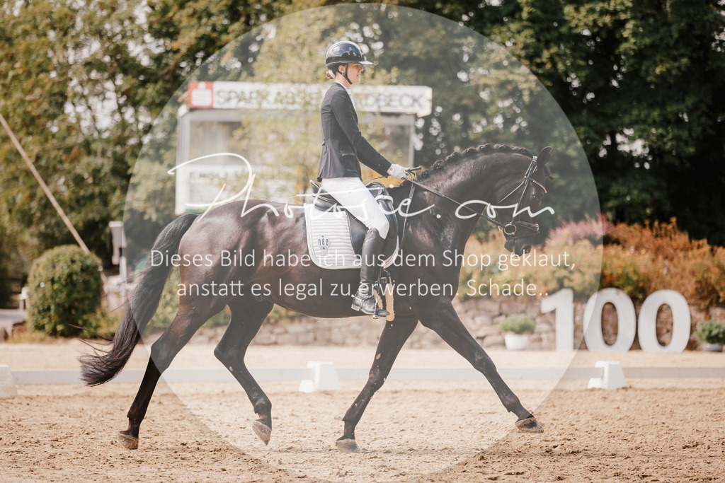 3I6A6081 | Stimmungsvolle Portraits und Reitsportfotografie im Ruhrgebiet und im Münsterland.

Pferdefotografie, Hundefotografie, Tierfotografie, Reportagen, Portraits von Tier und Mensch, Turnierfotografie in Bochum, Recklinghausen, Marl, Haltern am See, Dülmen.. - Realisiert mit Pictrs.com