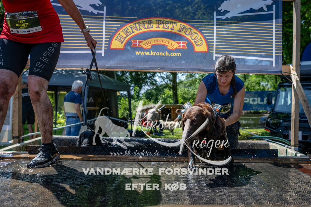 1244_ZZ92012 | kk-dogfotos