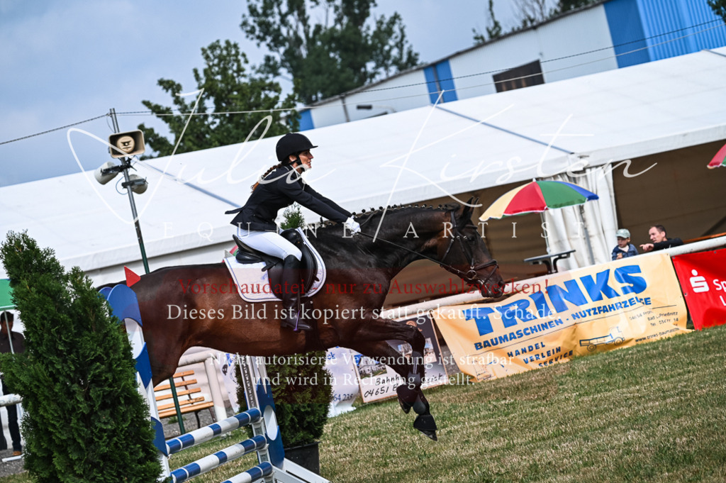 DSC_8308 | Pferde- und Turnierfotografie in Westsachsen. Pferdeportraits, Auftragszeichnungen und intuitive Kunst.