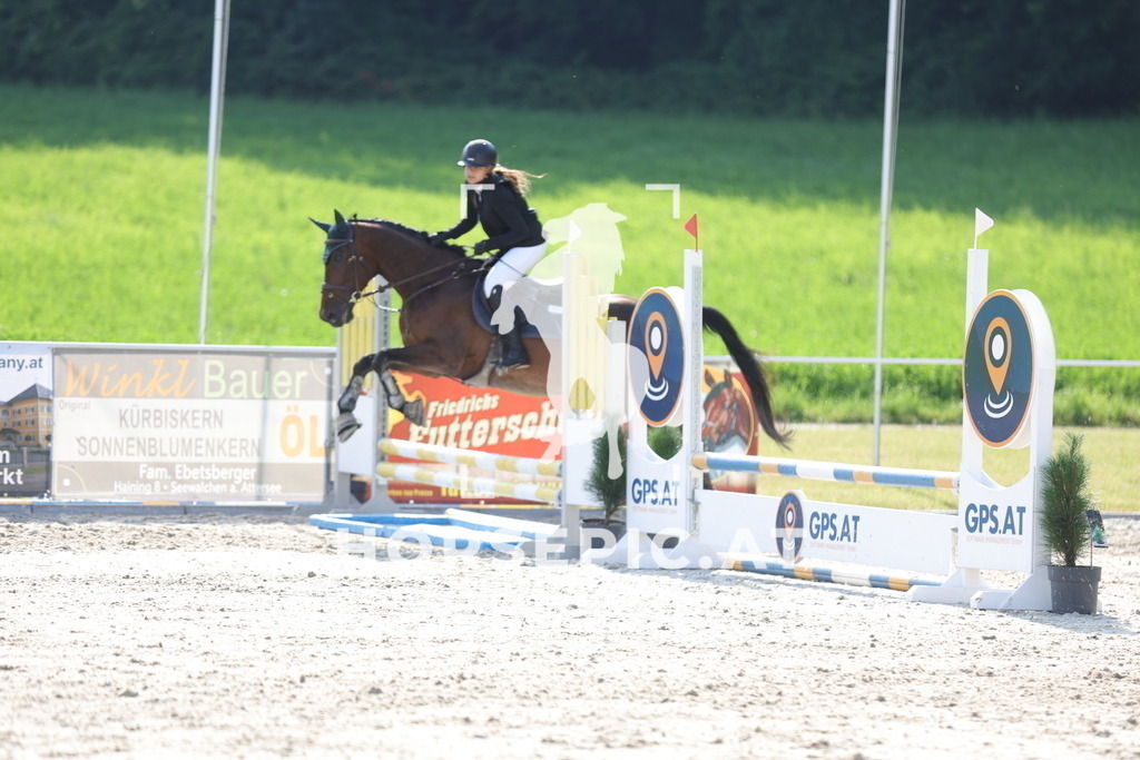 0P6A6044 | Willkommen bei Brunnmayr - Design & Fotografie – Ihrem Spezialisten für Reitturniere und Pferdeveranstaltungen in Oberösterreich, Salzburg und Bayern! Seit über 17 Jahren sind wir leidenschaftlich dabei.