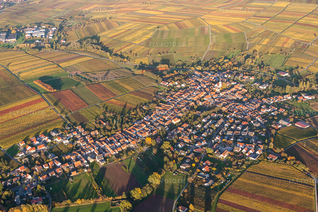 Luftbild: Herbstliche Abendlicht am Rande von Feldern in Göcklingen im Bundesland Rheinland-Pfalz in Deutschland. Foto: IMG_60648.jpg vom 24.10.2013 durch Werner Riehm/FLY-FOTO.de