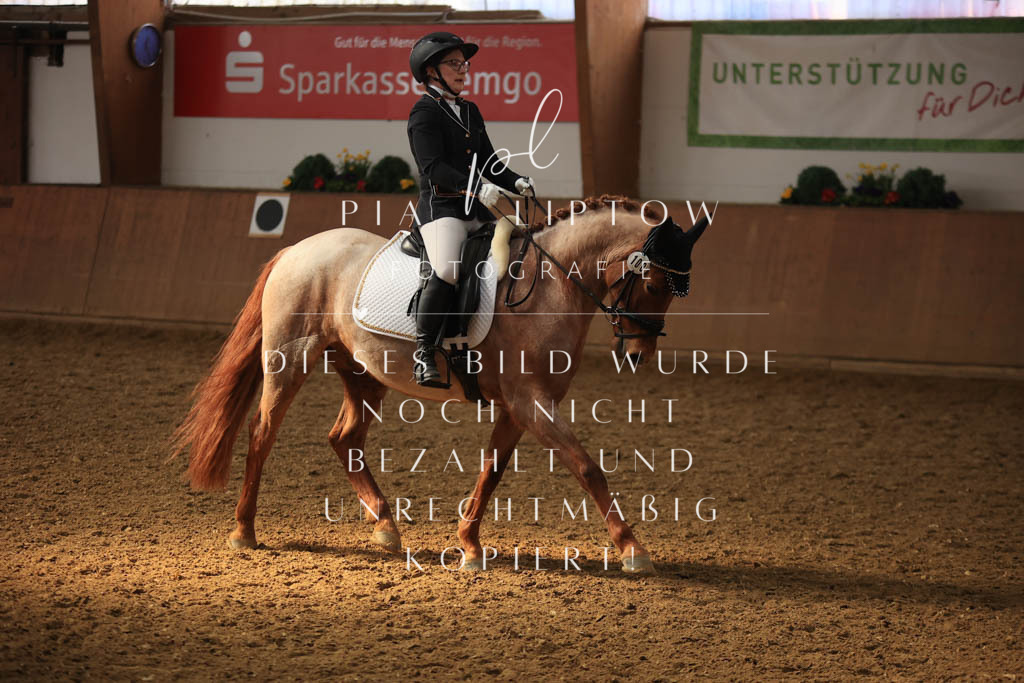 IMGT8282 | pl-fotografie