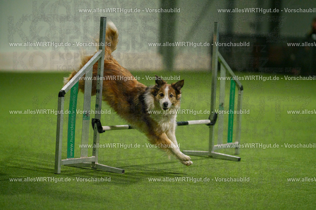 7R504397 | Professionelle Tierfotografie in Mönchengladbach von Daniel Wirth (allesWIRTHgut). Liebevolle & natürliche Bilder von Hunden & Katzen für unvergessliche Erinnerungen.