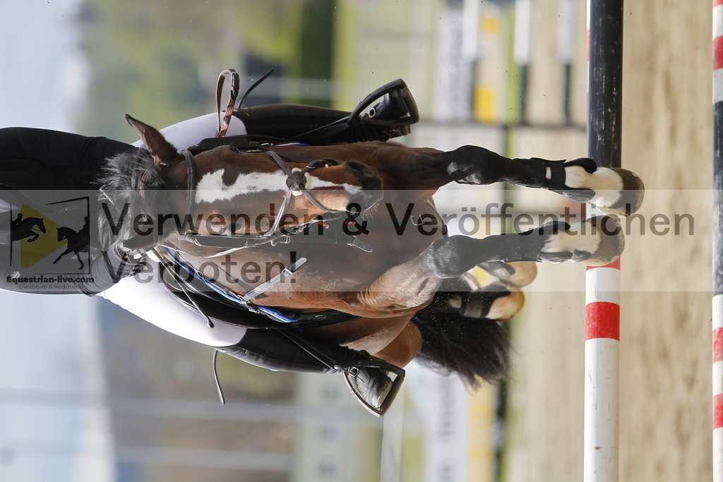 _MG_8048 | equestrian-live-com