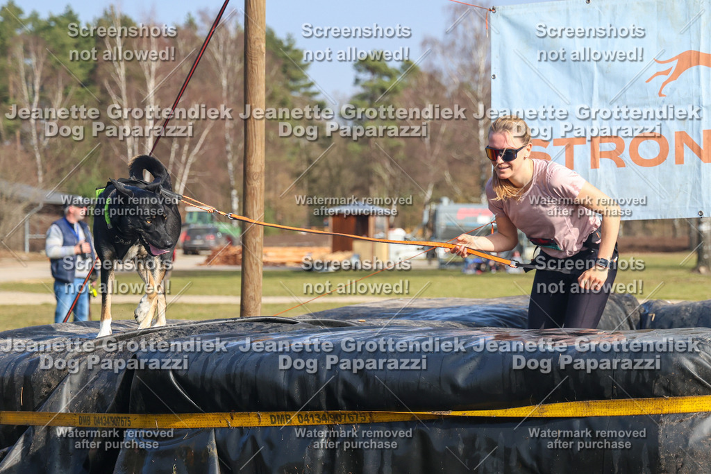 Dog Paparazzi - Strongdog North Mrz26-2966 | Dog Paparazzi Jeanette Grottendiek Fotografie & Videografie - Realisiert mit Pictrs.com