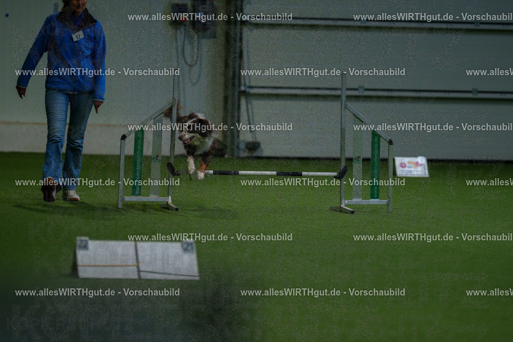 7R505112 | Professionelle Tierfotografie in Mönchengladbach von Daniel Wirth (allesWIRTHgut). Liebevolle & natürliche Bilder von Hunden & Katzen für unvergessliche Erinnerungen.