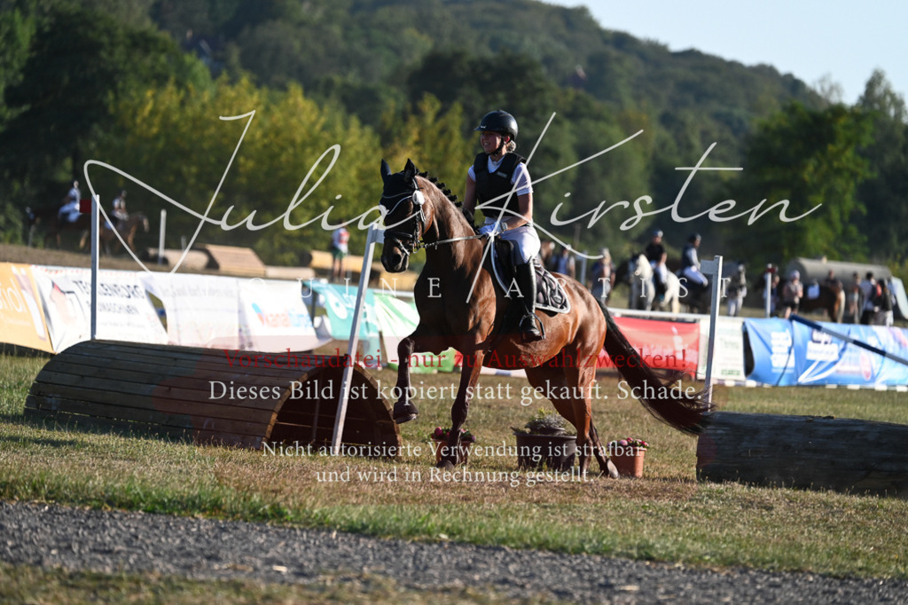 DSC_9157 | Pferde- und Turnierfotografie in Westsachsen. Pferdeportraits, Auftragszeichnungen und intuitive Kunst.