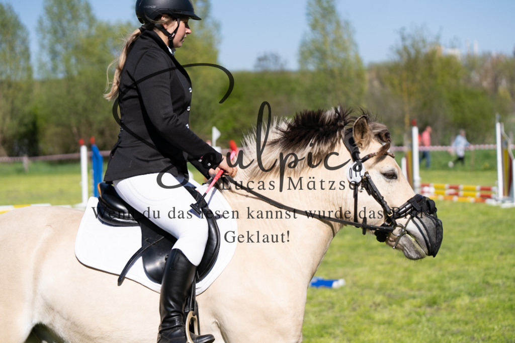 A7V01541 | Pferdefotograf