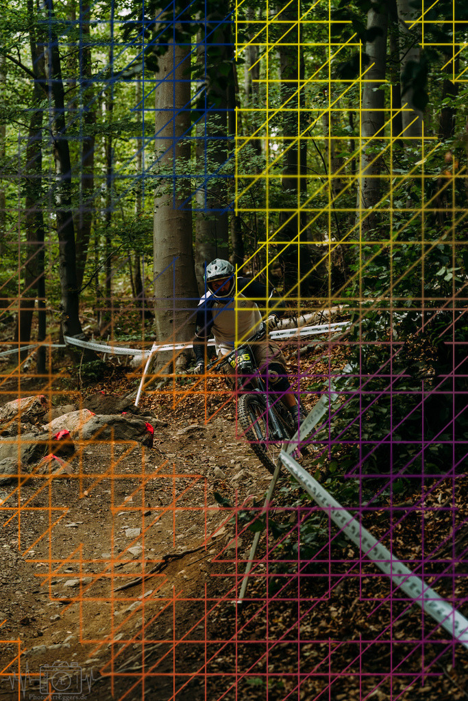 PAE-1985 | Einzigartige Fotokunst für dein Zuhause: Entdecke hochwertige Wandbilder, edle Prints und emotionale Motive von Wildlife, Natur und Landschaften - Realisiert mit Pictrs.com