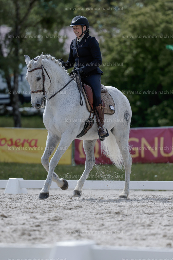 PI26_DR_246_Stoibphotography__AM10083.jpg | working equitationturnier fotograf videograf stoibphotography marixx film working equitation deutschland reitsport turnierfotografie eventfotografie equestrian events