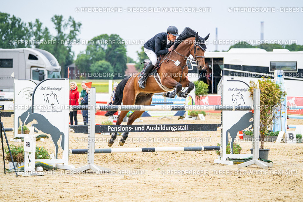 DSC07059 | Pferdegrafie