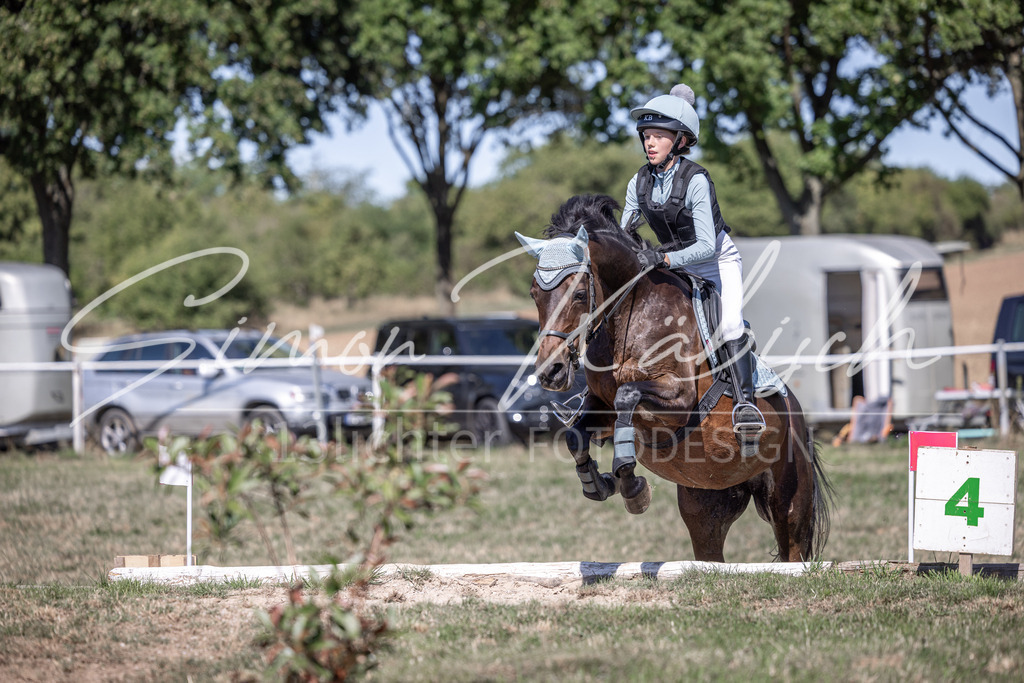 20260906-_3LI3503 | Tierfotografie Pferde, Hunde, Katzen, Haustiere.
Turnierfotografie Reitturniere, Reiten, Springreiten, Dressur in Hanau, dem Main-Kinzig-Kreis und dem Rhein-Main- Gebiet um Frankfurt