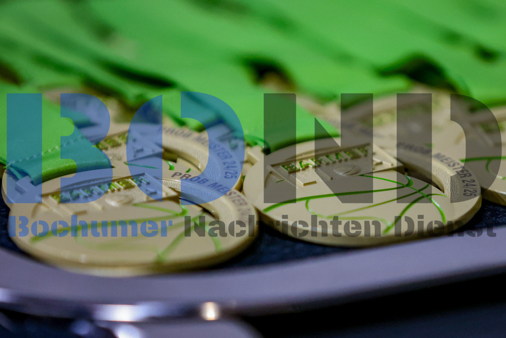 SES_LEVWOL20250525-36 | bond - Realisiert mit Pictrs.com