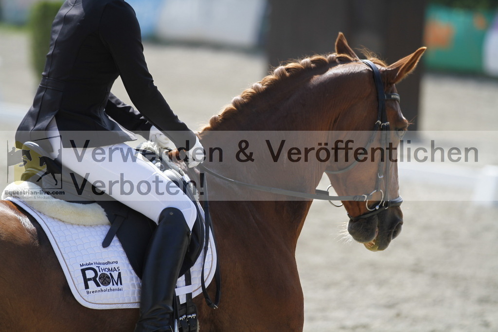 _MG_2028 | equestrian-live-com