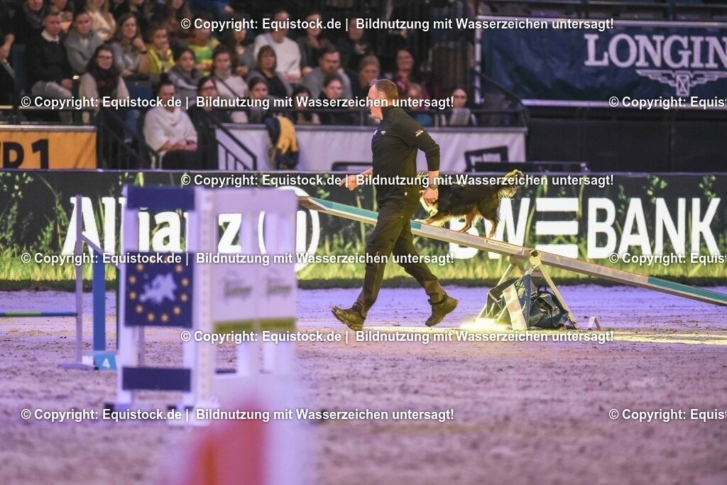 20231115_Dog-Agility_0172_TOMsPiC | Foto: Thomas Hartig