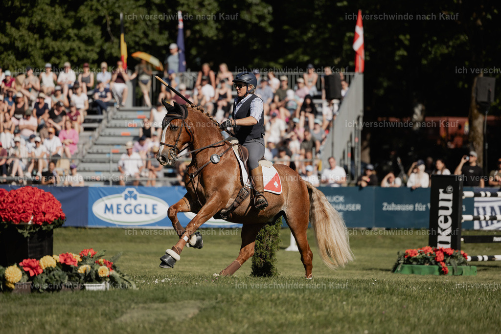 WE_MOS_Stoib_323_PI2025_2279 | Pferd International München 2025