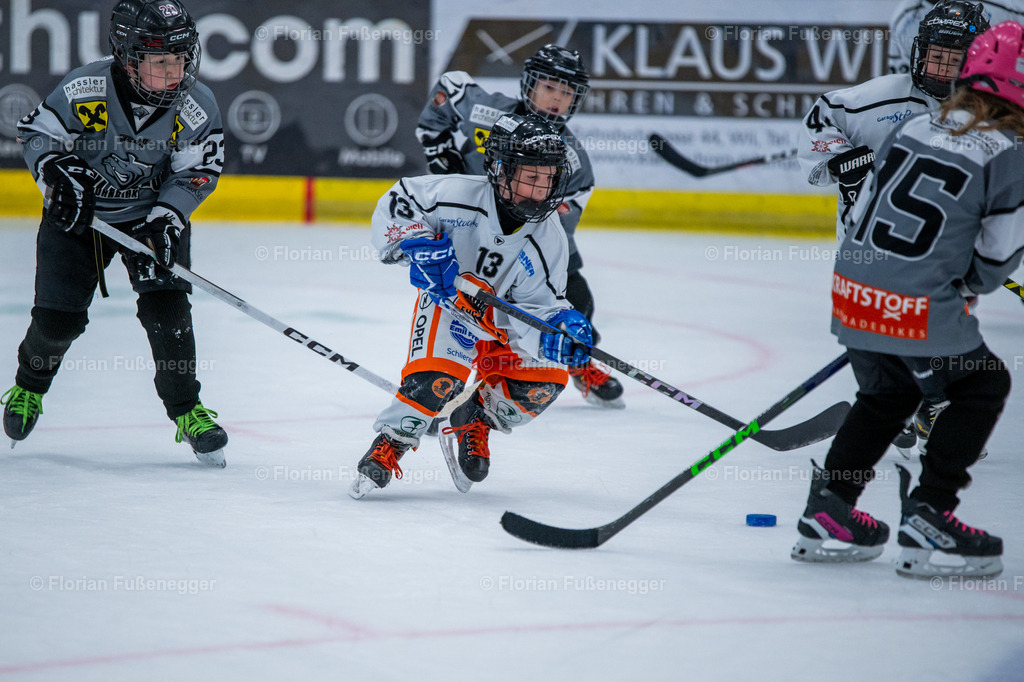2025-03-01-Bärencup Wil-259 | "Fussifoto.com – Ihr Ansprechpartner für hochwertige Fotografie! Entdecken Sie kreative Bilder und professionelle Dienstleistungen. Kontaktieren Sie uns für Ihre Projekte!"