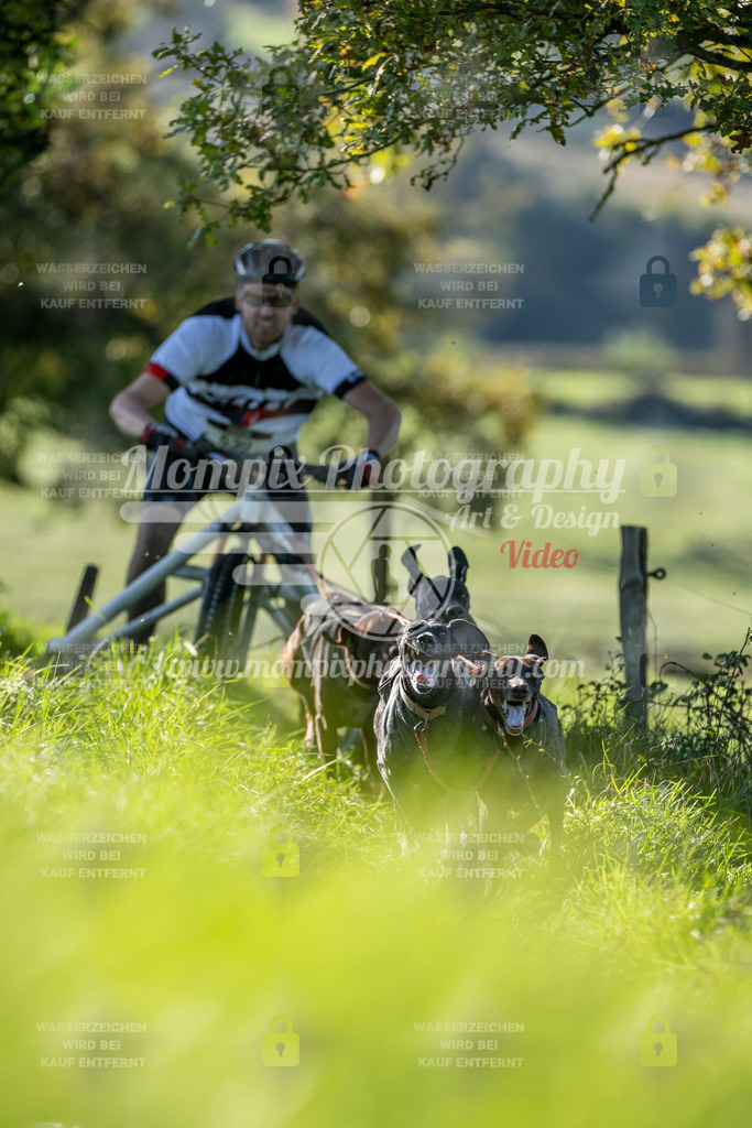 MompixPhotography_20TSB_E3_Kart-1 | PayLife